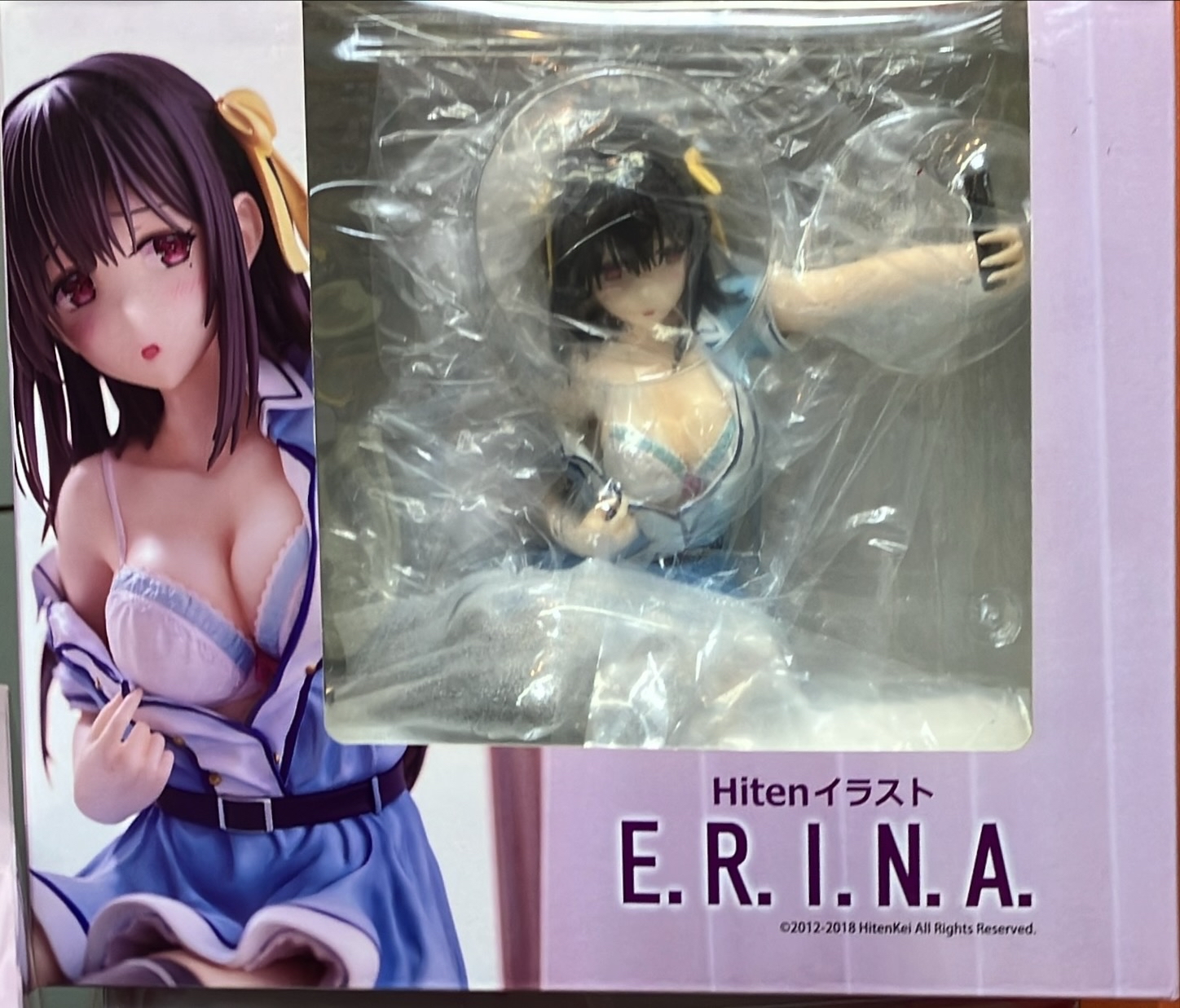 E.R.I.N.A