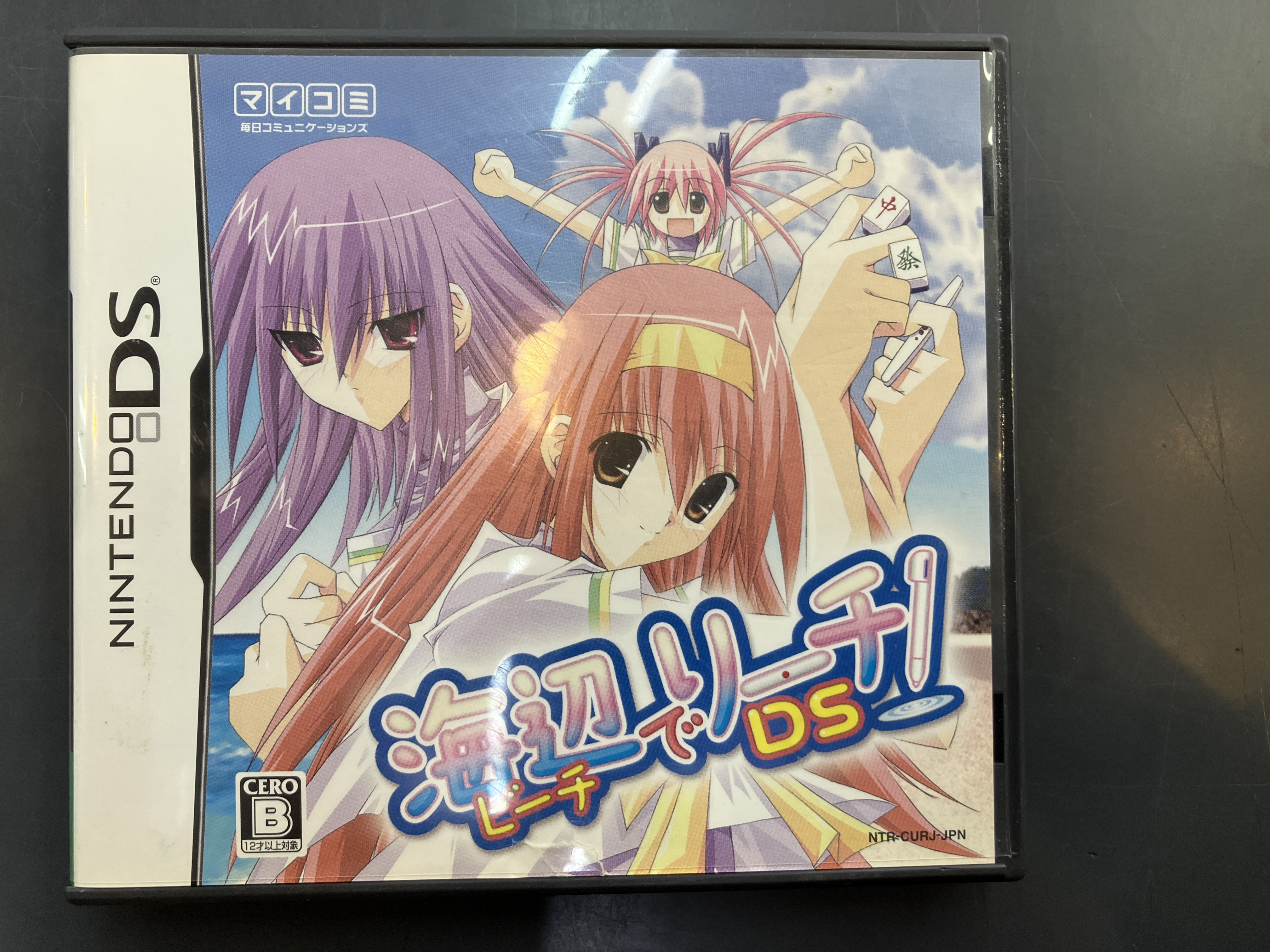 <strong>海辺でリーチ!DS</strong>