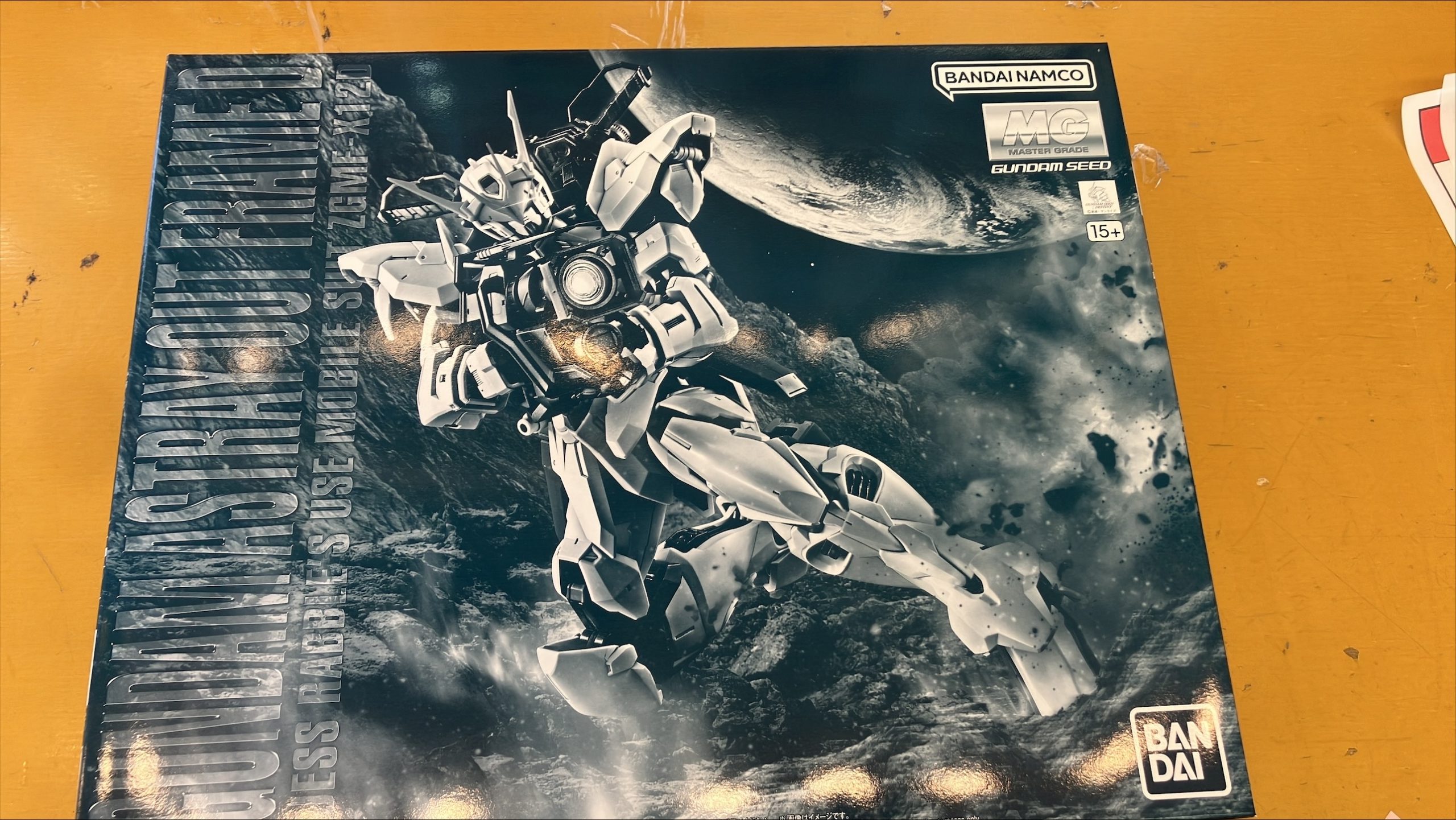 1/100 MG ZGMF-X12D ガンダムアストレイ アウトフレームD 